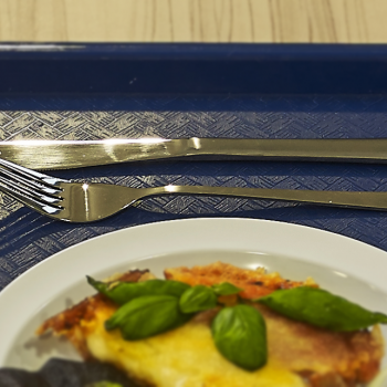 Britannia Cutlery